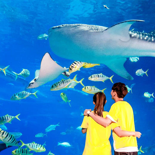 珠海长隆企鹅/飞船/横琴湾/马戏/迎海公寓酒店+门票住玩套餐 商品图1