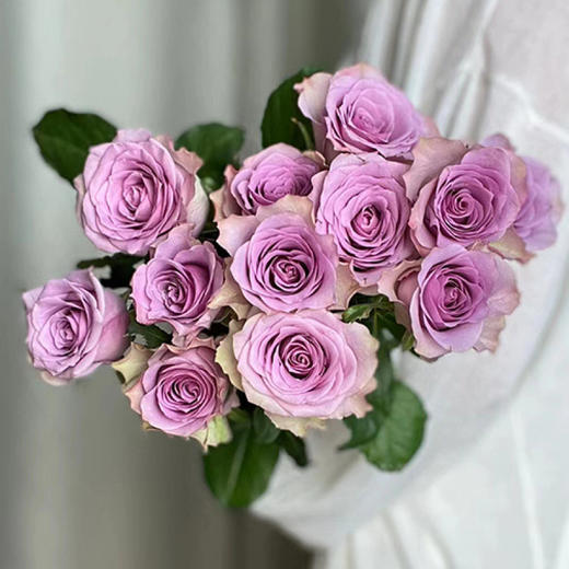 顺丰冷链云南玫瑰鲜花新鲜到家基地直发家用水培鲜切花节日礼物女神节 商品图10