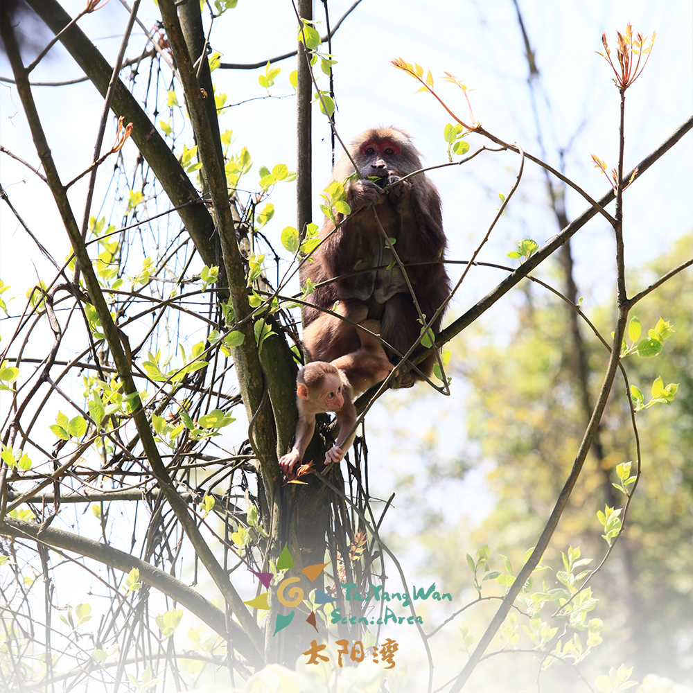 太阳湾风景区门票