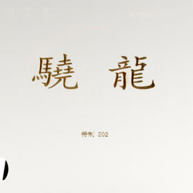 YASAKA亚萨卡骁龙特制专业粘性高弹内能乒乓球胶皮反胶套胶