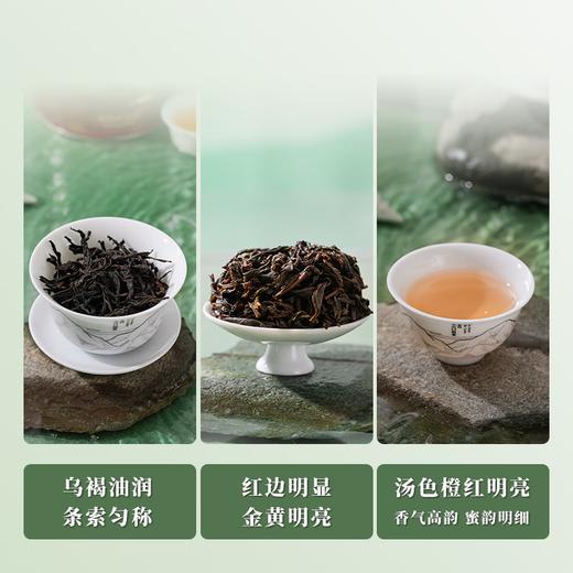 天池丨 青山系列 蜜兰香 凤凰单丛 乌龙茶 一级 125g 罐装 商品图3