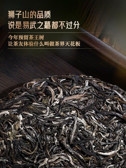 2025年春茶预售【狮子王】鼎级奢品易武之巅全球仅此一棵是对鼎峰口感的追求也是一种身份的象征一口诠释味觉的鼎级享受 357克/饼 拍5发6 商品图4