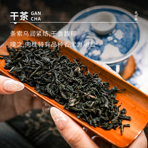 【意中岩】大桂余18g 商品图2