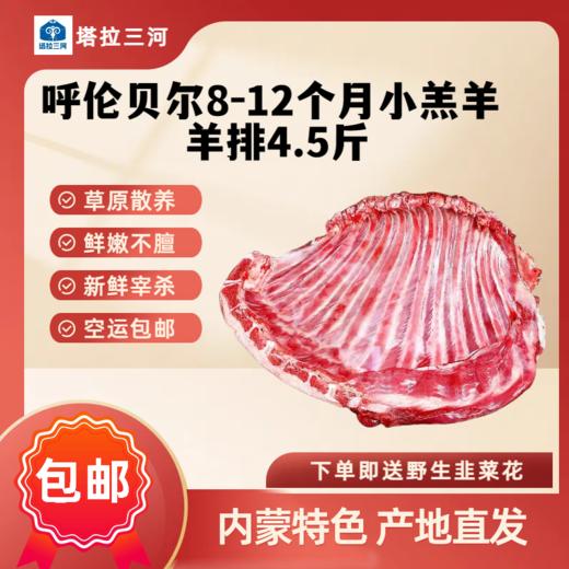 【现宰现杀，48小时顺丰冷链发货】源自内蒙特色,呼伦贝尔塔拉三河羊排 4.5斤 草原散养，鲜嫩不膻，下单送韭菜花 商品图0