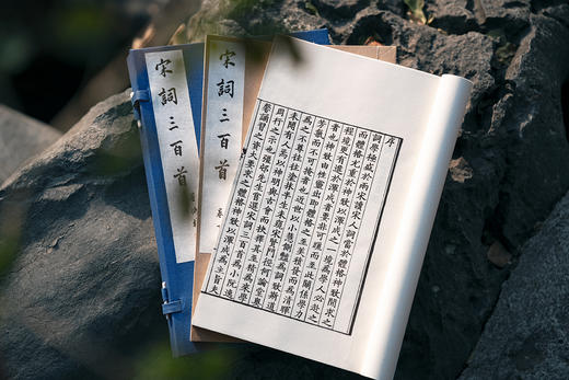 新校刊本《宋词三百首》 商品图2