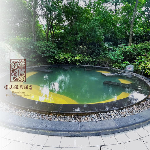宝山温泉券 商品图3