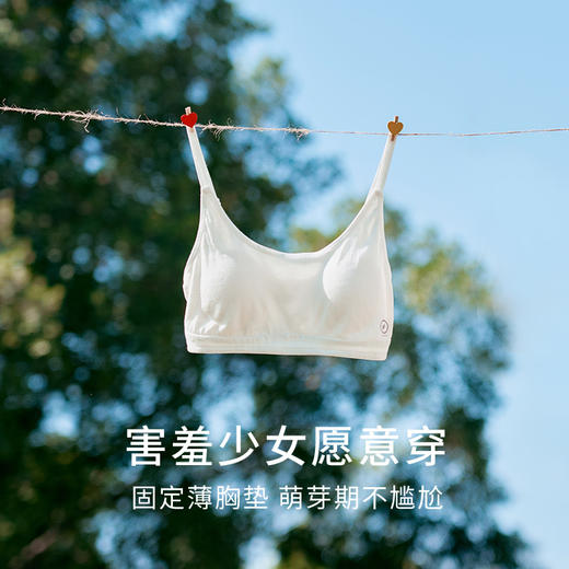 金三塔100%桑蚕丝无钢圈文胸清爽透气舒适隐形背心式少女内衣新品  NZFFA306 商品图1