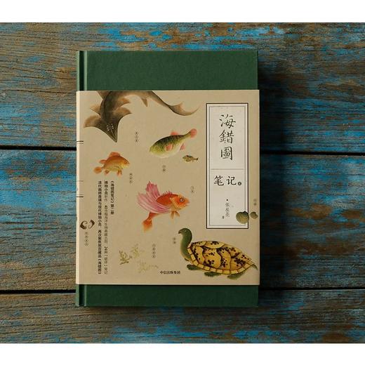 《海错图笔记》张辰亮 著 给孩子的科普书籍图鉴小亮老师 商品图6