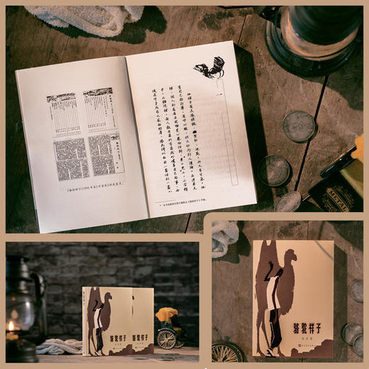 骆驼祥子 商品图2