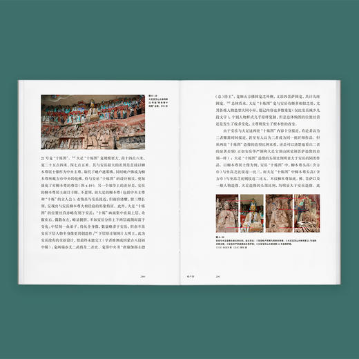 石窟史诗系列 《安岳》 驻足岁月更迭中的石窟一刻，追寻千磨万击下的灵光流动 读库 王南 袁进钊 商品图3