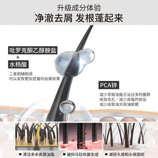 发玛21蓬松去屑洗发水600ml 商品图2