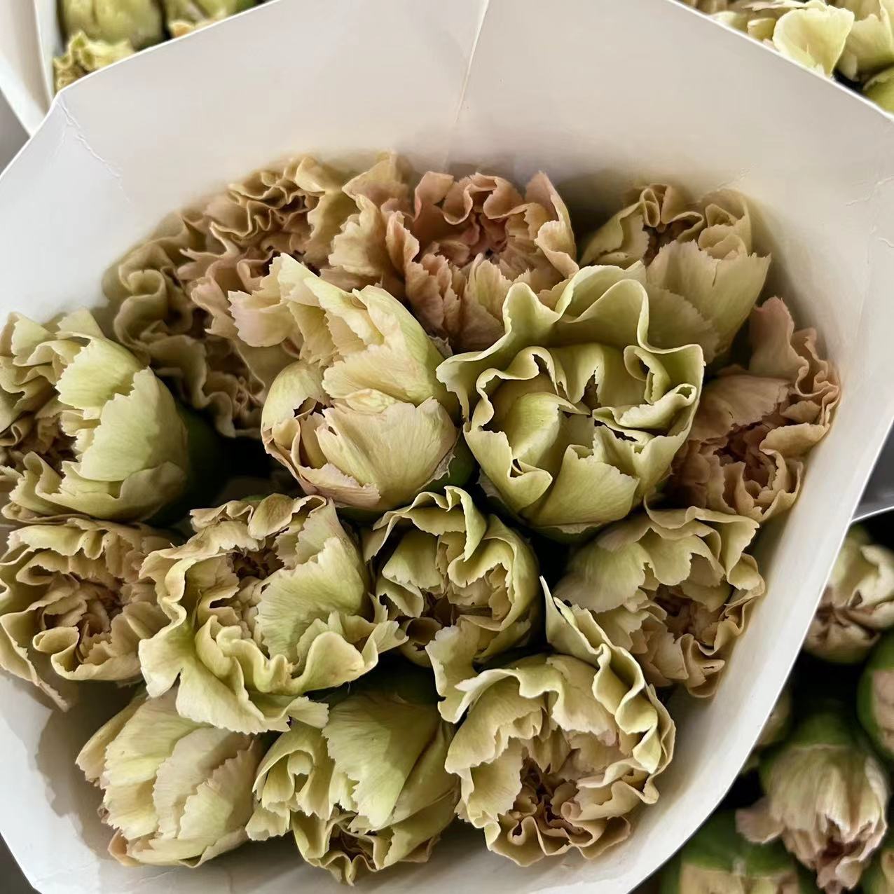 微信图片_20230213200203