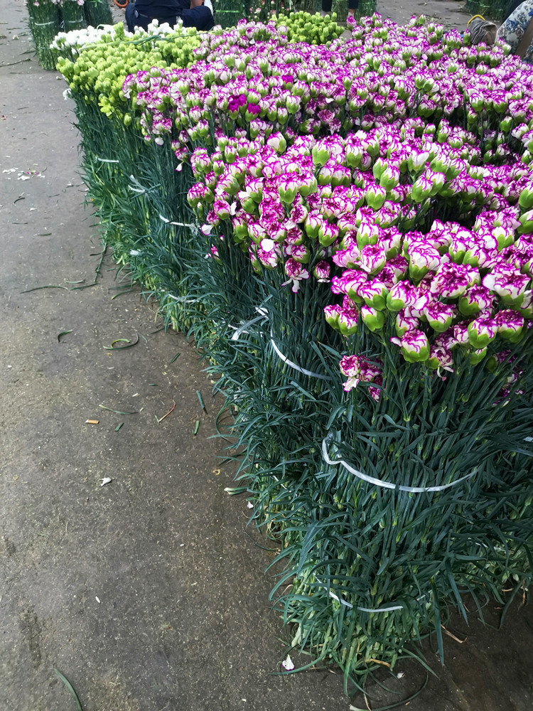 IMG_20200612_204635_副本