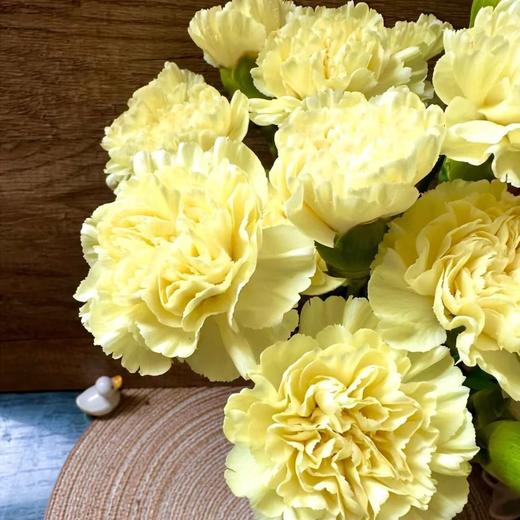 康乃馨鲜花云南昆明单头康鲜切花基地女神节母亲节教师节礼物女神节 商品图11