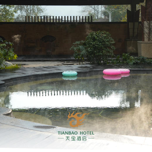 天宝温泉券 商品图4