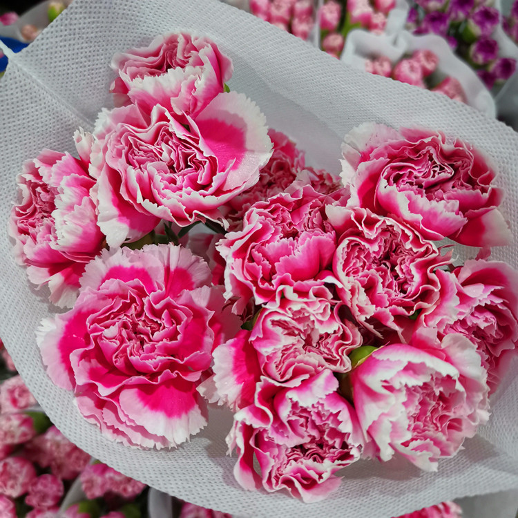 IMG_20200612_203655_副本