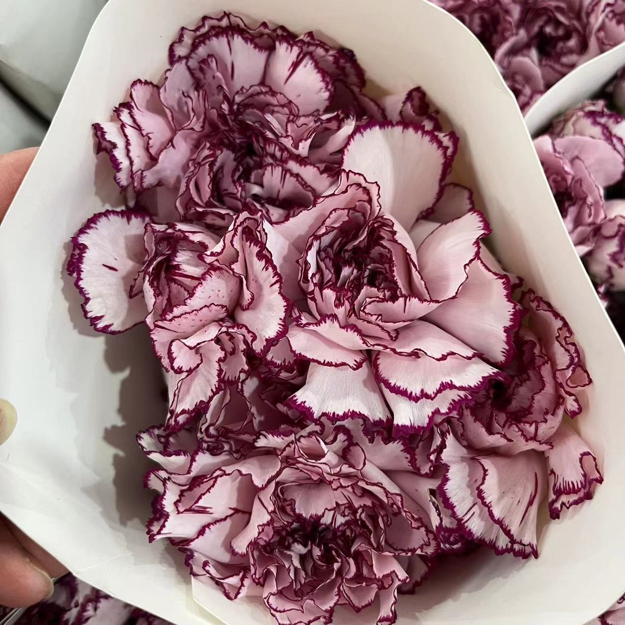 微信图片_20230213200220