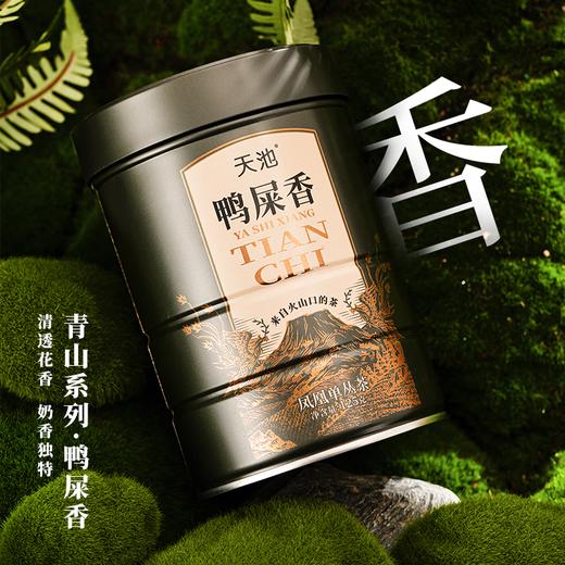 天池丨 青山系列 鸭屎香 凤凰单丛 乌龙茶 一级 125g 罐装 商品图0