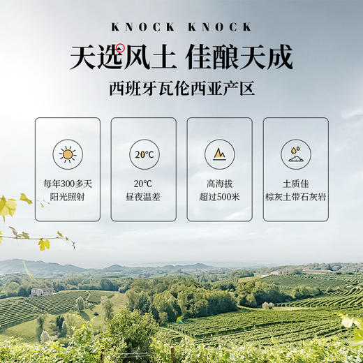 【新品】西班牙进口 奥兰小红帽清爽干白葡萄酒(FF120)11.5度750ml 白桃果香 商品图5