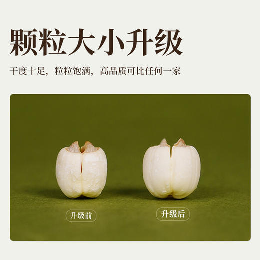 龙威贡牌 建宁通芯白莲子 自然绿色食品 无漂白熏硫 易煮粉糯 250/袋 商品图4