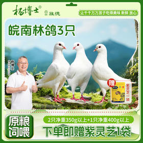 鸽子清蒸的做法，好鲜嫩啊~