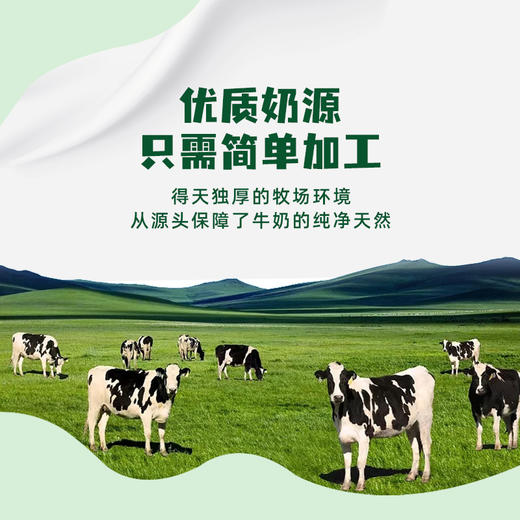 【辉山 A2β-酪蛋白原生高钙纯牛奶】儿童学生营养全家早餐牛奶  200ml*20盒 商品图2