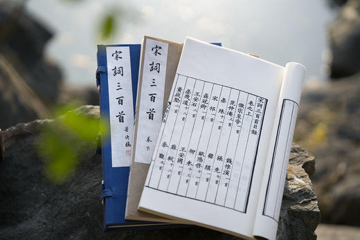 新校刊本《宋词三百首》 商品图3