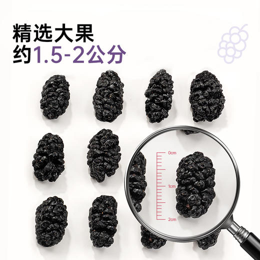 璞匠新鲜黑桑葚干桑甚干泡水泡茶旗舰店官方即食桑葚 商品图3