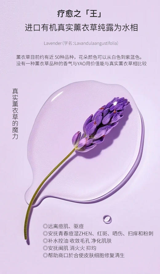 进口真实薰衣草纯露2重蛋白+6D立体胶原+三肽玻尿酸 减压舒缓敏敏淡化痘印祛痘红血丝维稳淡化陈年痘印解du120ml 商品图3
