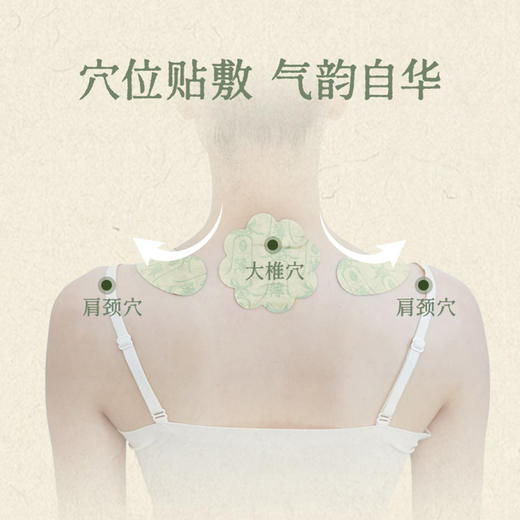 「送鸸鹋霜小样」后辰薄背贴 15片/袋 商品图1