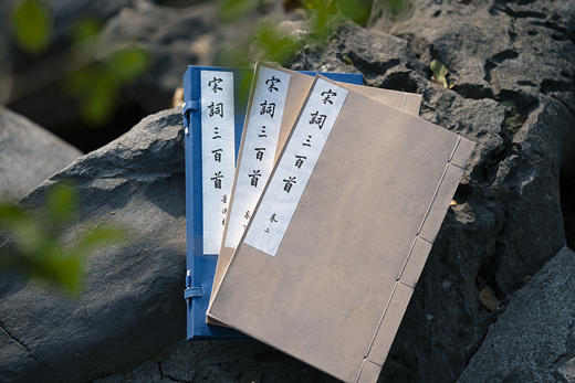 新校刊本《宋词三百首》 商品图1