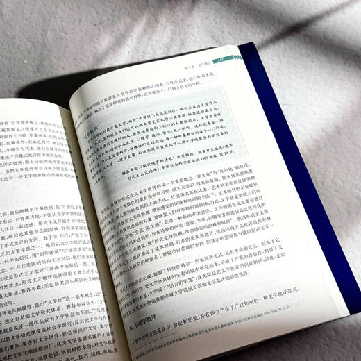 文学理论 第三版 鲁枢元 刘锋杰 姚鹤鸣 高校文科精品教材 商品图11