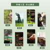 天池丨 青山系列 蜜兰香 凤凰单丛 乌龙茶 一级 125g 罐装 商品缩略图2