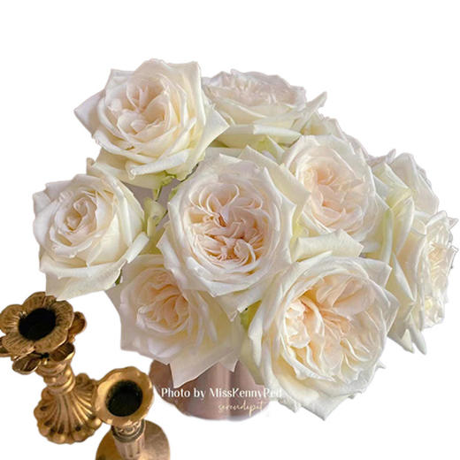 顺丰冷链云南玫瑰鲜花新鲜到家基地直发家用水培鲜切花节日礼物女神节 商品图4