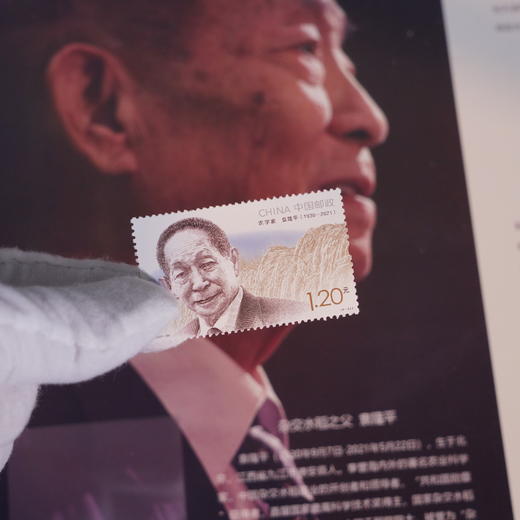 《大国脊梁 》中国现代科学家邮票珍藏大全 商品图4