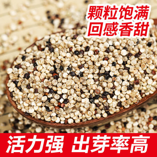 【山西静乐三色藜麦米】 粗粮好营养，让你越吃越健康，喜欢的人顿顿不离 商品图1