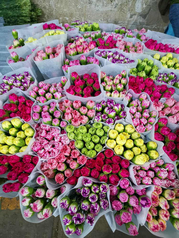 IMG_20200612_204939_副本