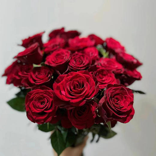 顺丰冷链云南玫瑰鲜花新鲜到家基地直发家用水培鲜切花节日礼物女神节 商品图6