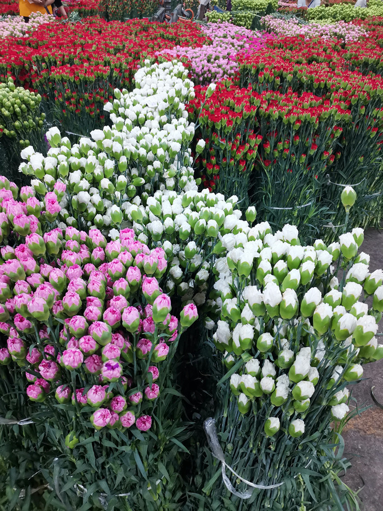 IMG_20200612_204732_副本