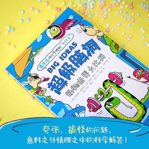 动物世界大比拼 商品图2