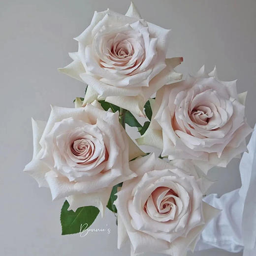 顺丰冷链云南玫瑰鲜花新鲜到家基地直发家用水培鲜切花节日礼物女神节 商品图2