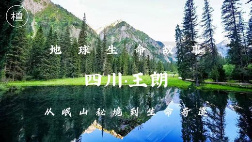 预约·地球生命故事之四川·王朗 商品图0