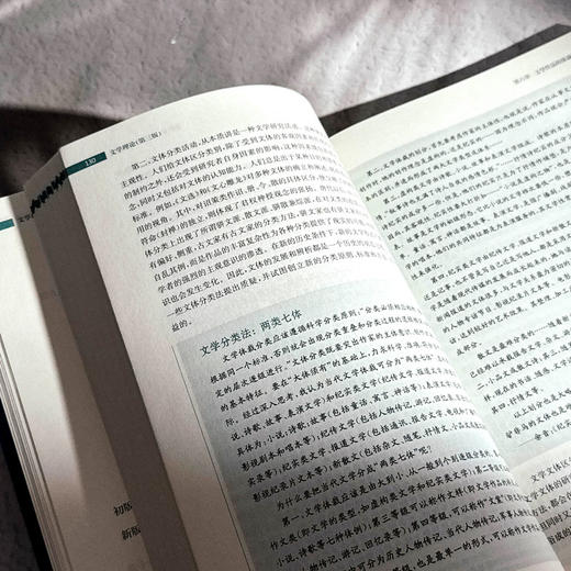 文学理论 第三版 鲁枢元 刘锋杰 姚鹤鸣 高校文科精品教材 商品图8