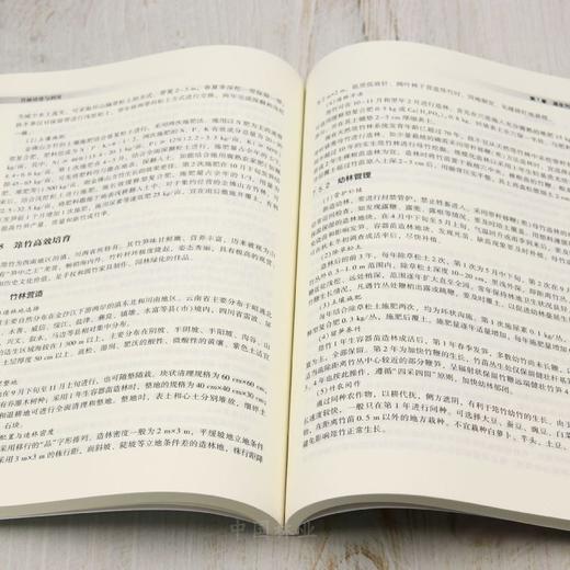 E竹林培育与利用 &2798 商品图4