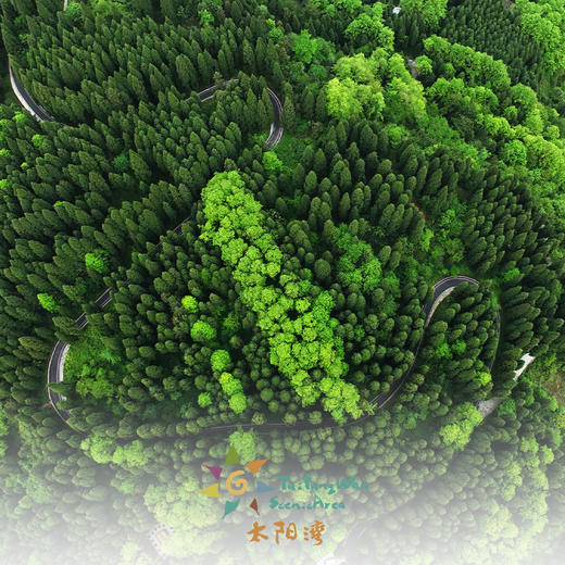 套票·太阳湾门票+飞跃丛林乐园 商品图3