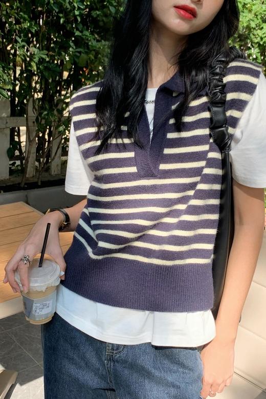 HAYES 深蓝色polo翻领条纹针织背心 15462 商品图1