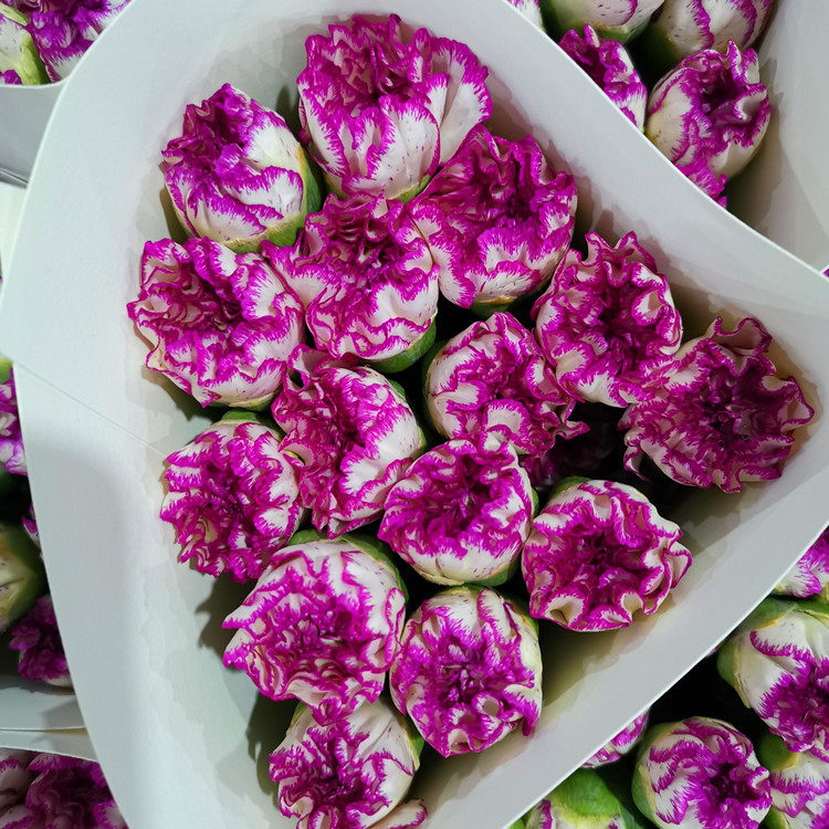 IMG_20200612_203537_副本