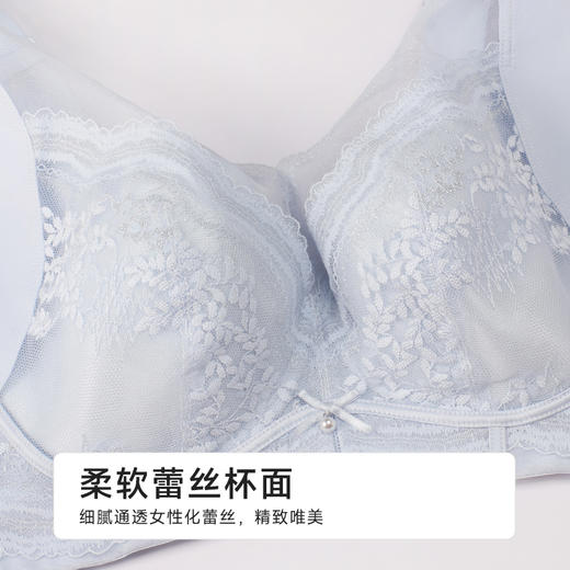 都市丽人完美包容内衣CDE:超薄蕾丝软钢圈常规文胸YBH3J5 商品图4