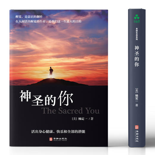 神圣的你｜杨定一博士著 【官方正版】华龄出版社 商品图4