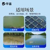 华畜青苔分解酶鱼塘净水除藻剂不伤害水草鱼虾蟹保苗稳水水产养殖 商品缩略图3